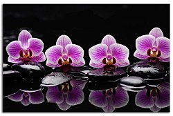 Obraz na stenu ZS - bez pomeru strán